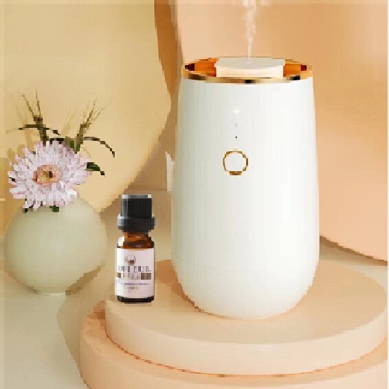 喜报！康麓生物“枕梦芳橙香氛套装”荣获2025湖南省文旅商品大赛铜奖