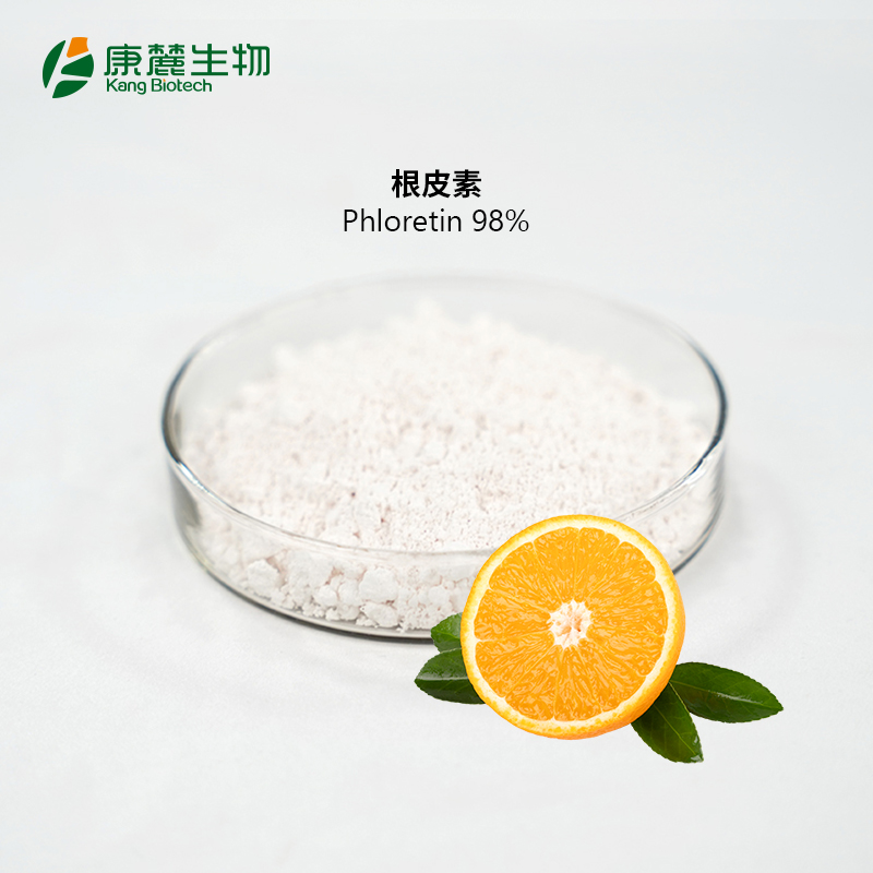 根皮素